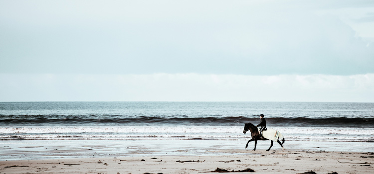 balade a cheval la palmyre