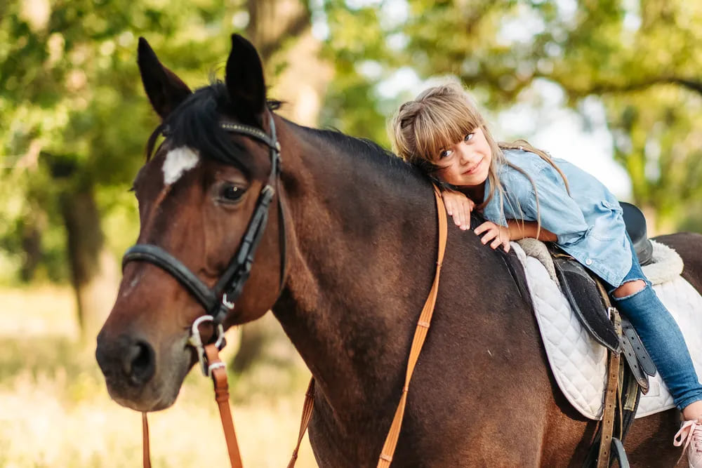 the royan equestrian center