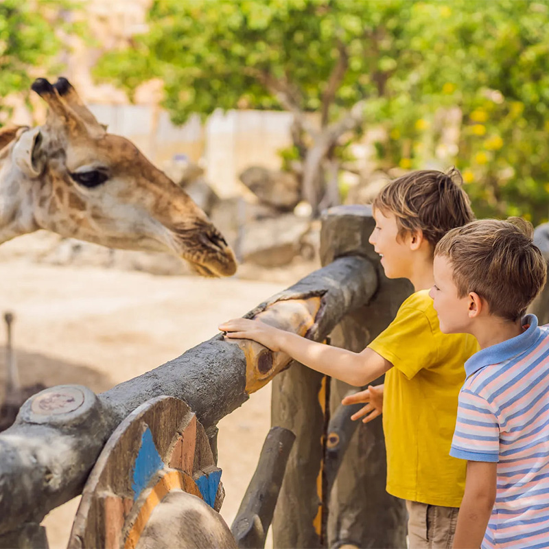 zoo de la palmyre